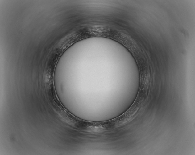 X0000115240749200911131704