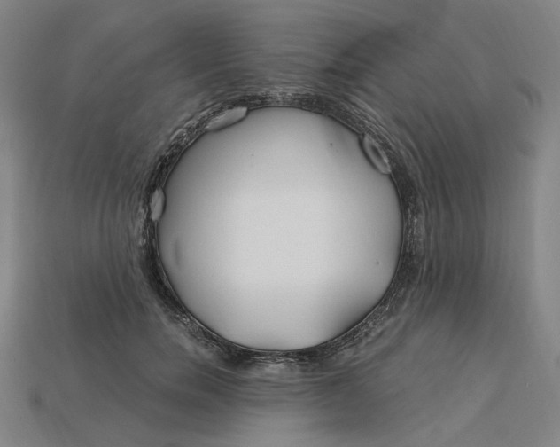 X0000115240750200911131704