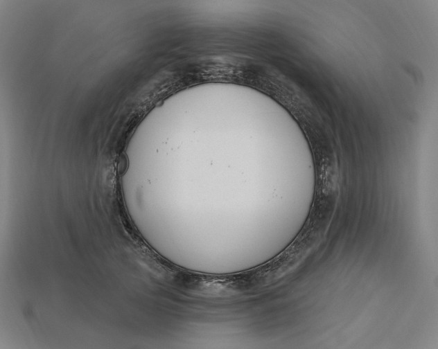 X0000115240753200911131704
