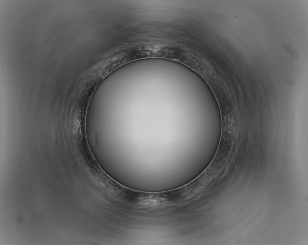 X0000115240754200911131704