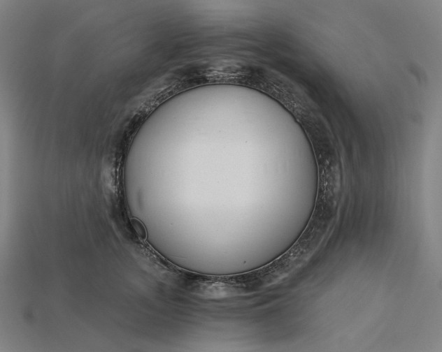 X0000115240755200911131704
