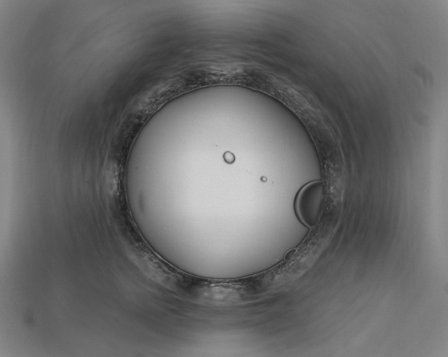 X0000115240758200911131704