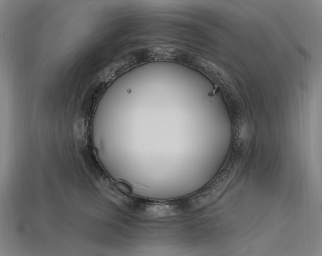 X0000115240759200911131704