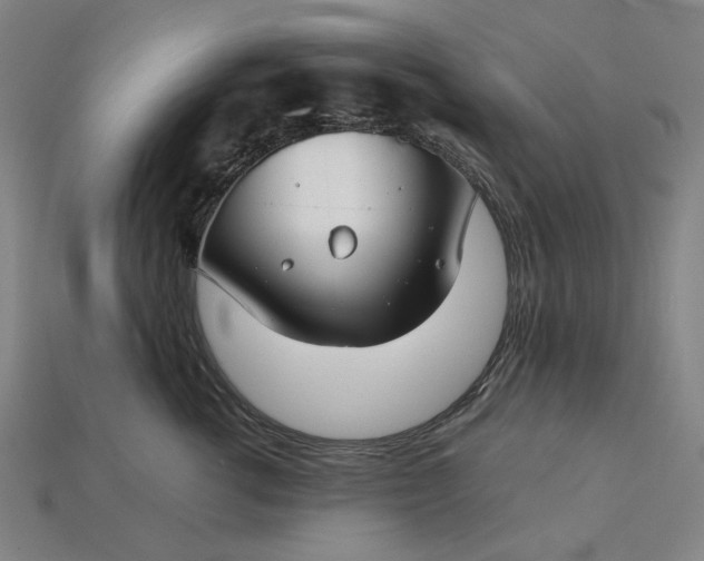 X0000115240762200911131704