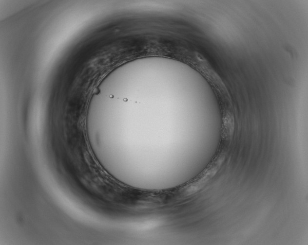 X0000115240765200911131704