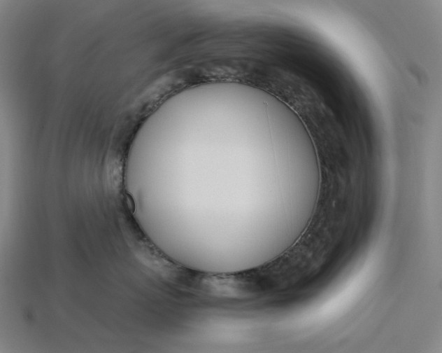X0000115240767200911131704