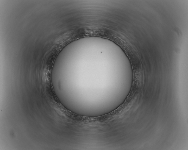 X0000115240770200911131703