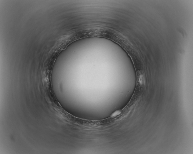X0000115240771200911131703