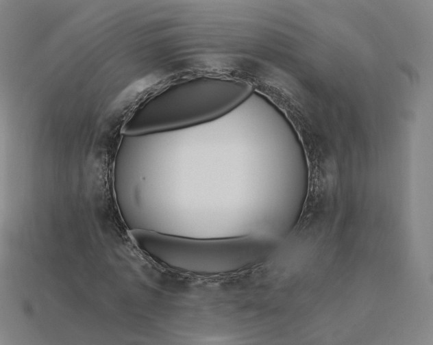 X0000115240773200911131703