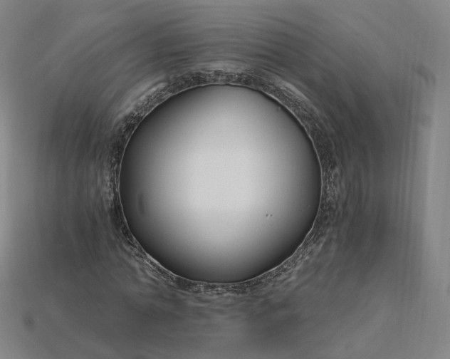 X0000115240774200911131703
