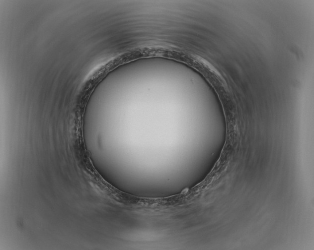 X0000115240775200911131703
