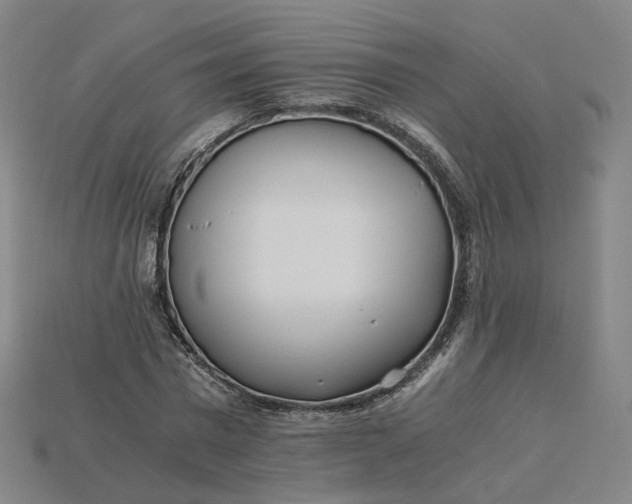 X0000115240777200911131703