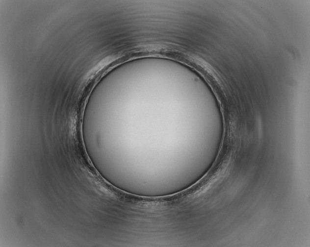 X0000115240778200911131703