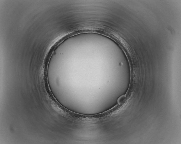 X0000115240779200911131703