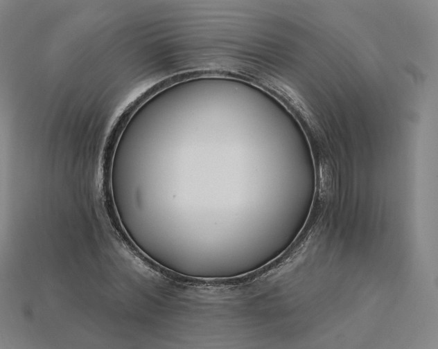 X0000115240780200911131703