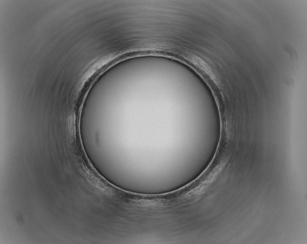 X0000115240781200911131703