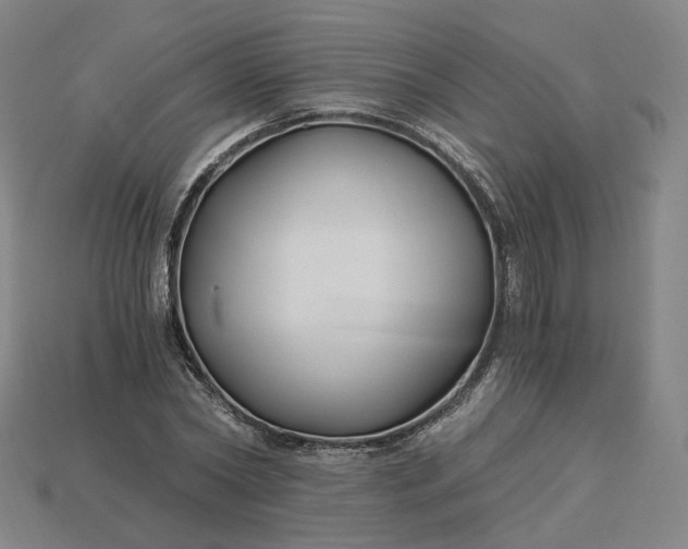 X0000115240782200911131703