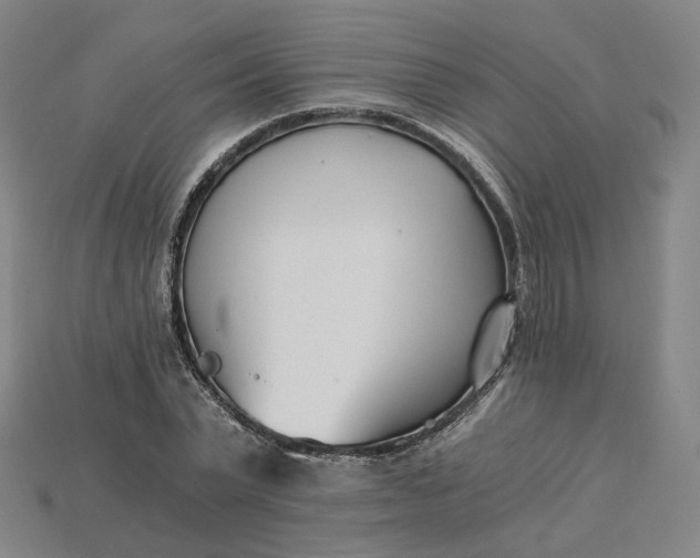 X0000115240783200911131703