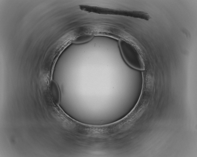 X0000115240785200911131703