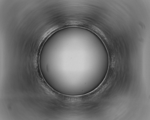 X0000115240786200911131703