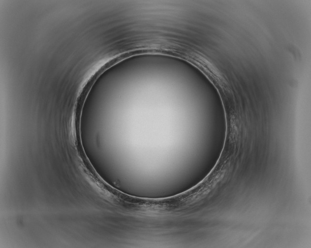 X0000115240788200911131703