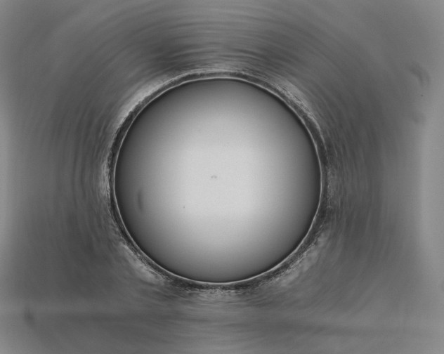 X0000115240789200911131703