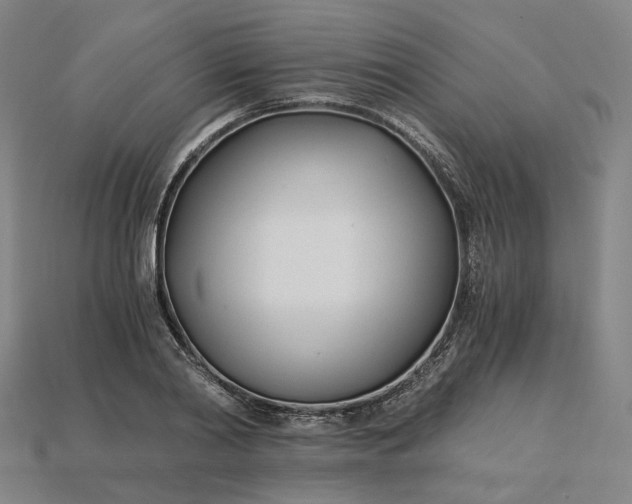X0000115240790200911131703