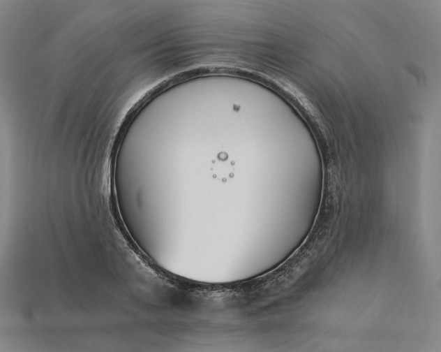 X0000115240791200911131703