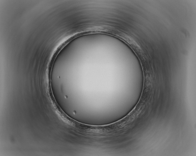 X0000115240792200911131703