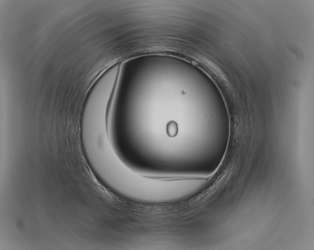 X0000115240793200911131703