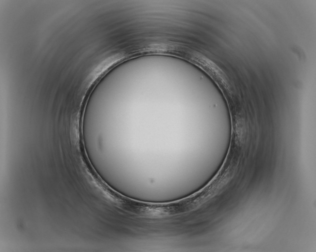 X0000115240794200911131703