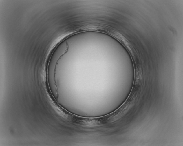 X0000115240795200911131703