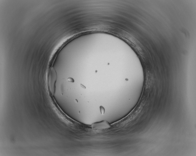X0000115240796200911131703