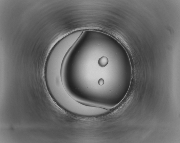 X0000115240797200911131703