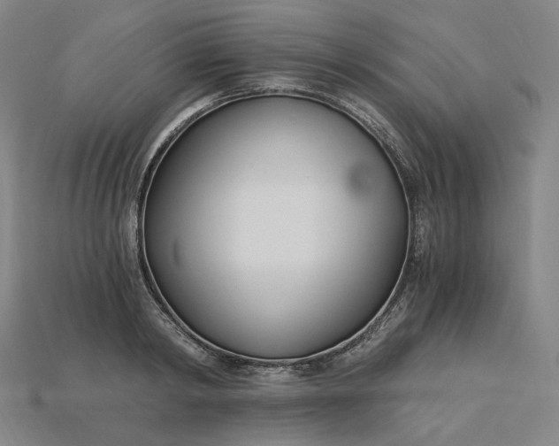 X0000115240798200911131703