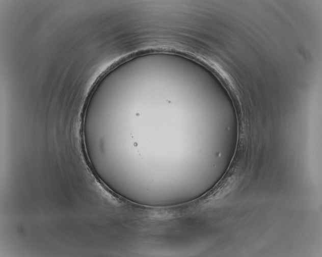 X0000115240799200911131703