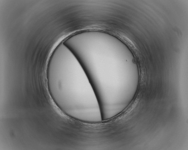 X0000115240800200911131703