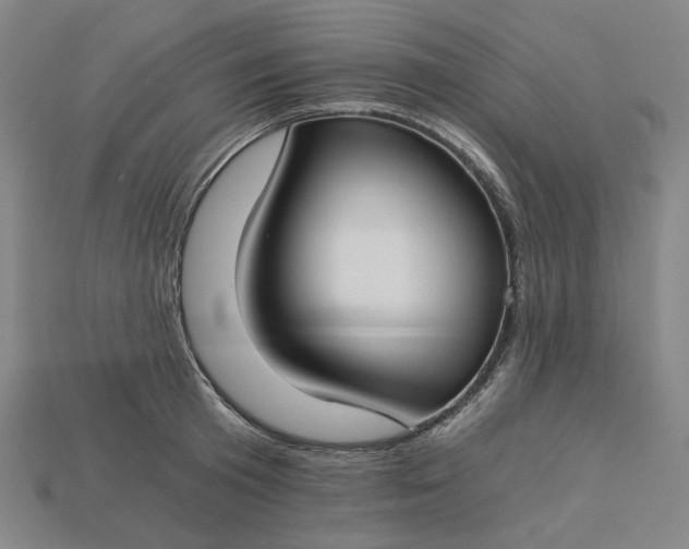X0000115240801200911131703