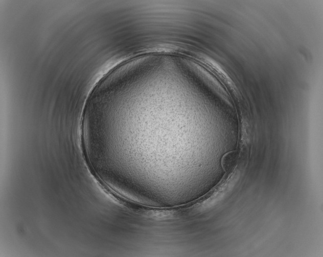 X0000115240802200911131703