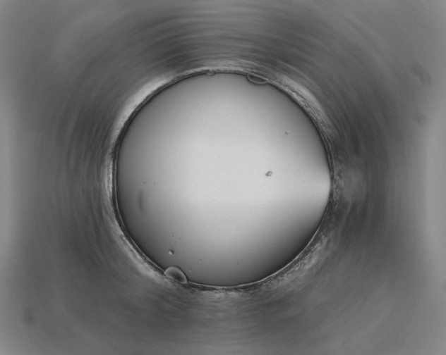 X0000115240804200911131703