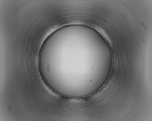 X0000115240805200911131703