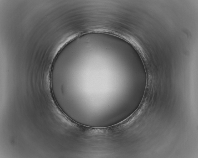 X0000115240806200911131703