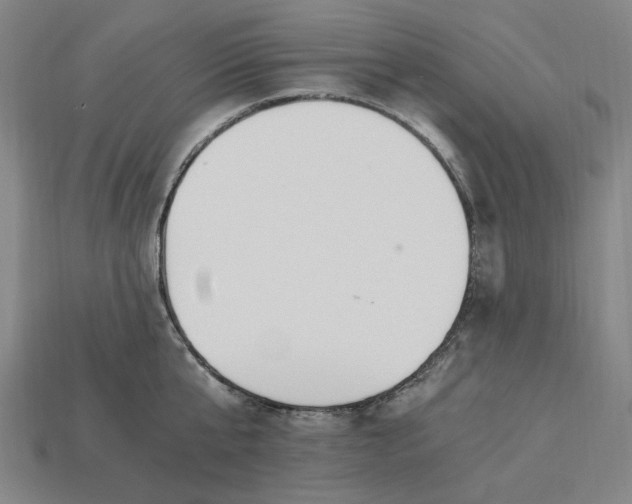 X0000115240807200911131703