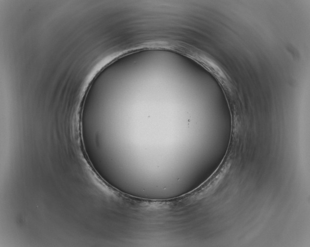 X0000115240808200911131703