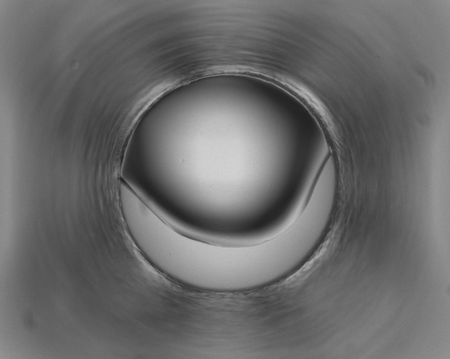 X0000115240809200911131703