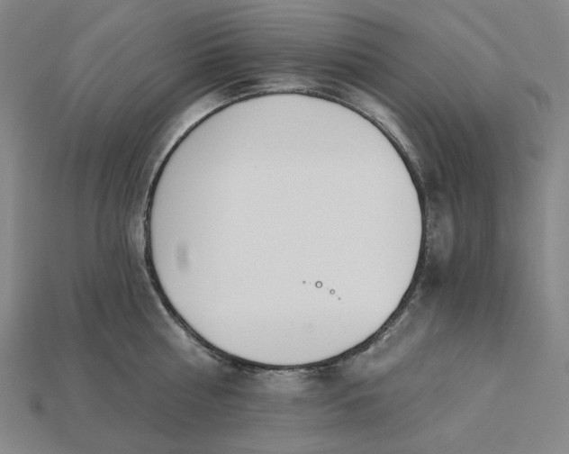X0000115240810200911131703