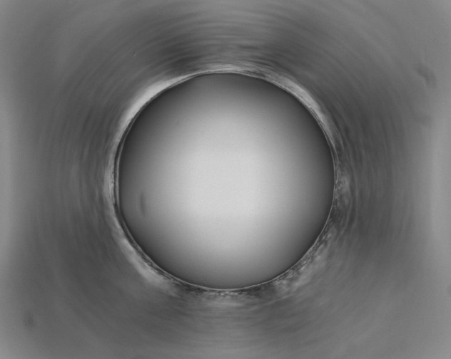 X0000115240811200911131703