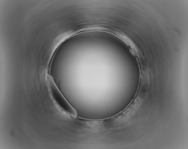 X0000115240813200911131703