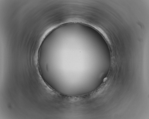X0000115240815200911131703
