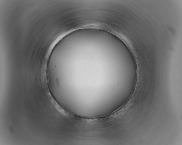 X0000115240816200911131703